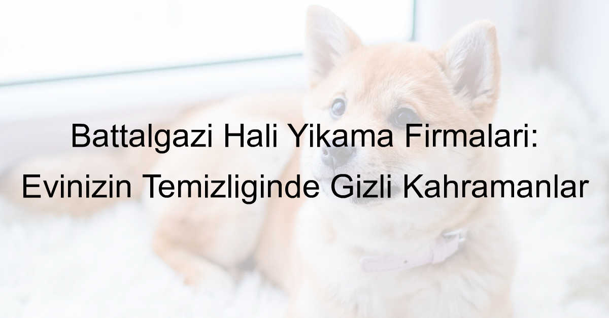 Battalgazi Halı Yıkama Firmaları: Evinizin Temizliğinde Gizli Kahramanlar