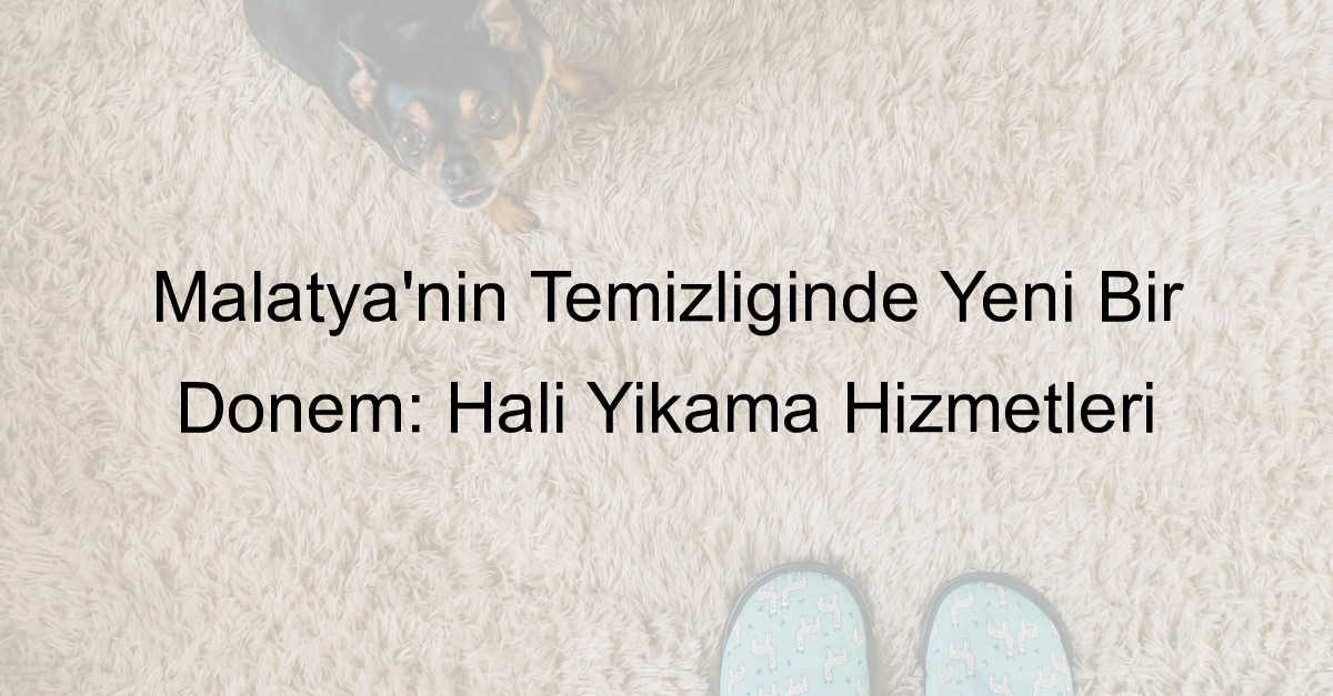 Malatya'nın Temizliğinde Yeni Bir D&ouml;nem: Halı Yıkama Hizmetleri