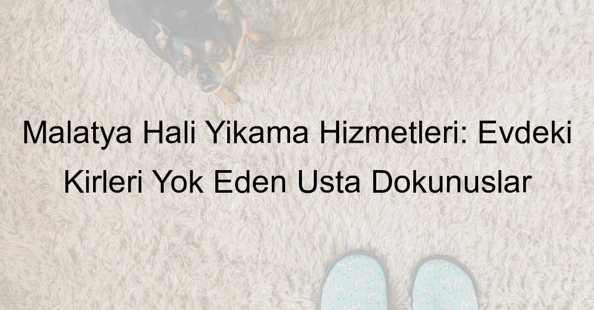 Malatya Halı Yıkama Hizmetleri: Evdeki Kirleri Yok Eden Usta Dokunuşlar